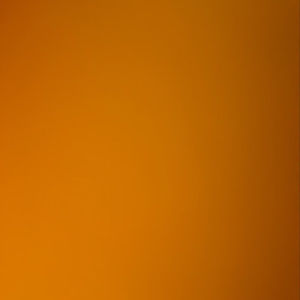 Meet your Posher, Maddie